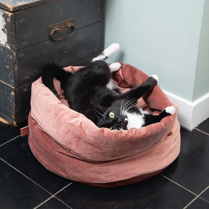 Cat Beds
