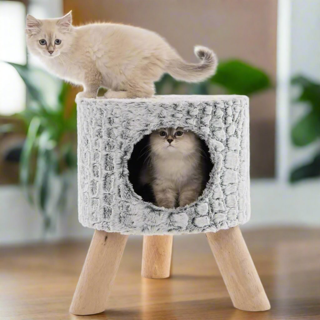 Cat Furniture & Scratching Posts