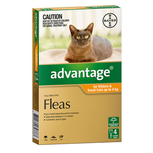 Advantage 4 pack - Small or Large Cats