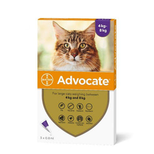 Advocate for Cats - Small or Large