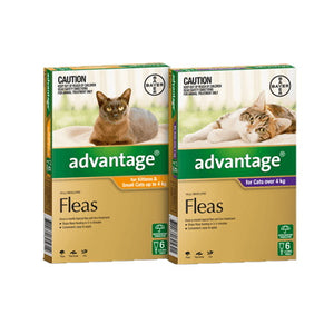 Advantage 4 pack - Small or Large Cats