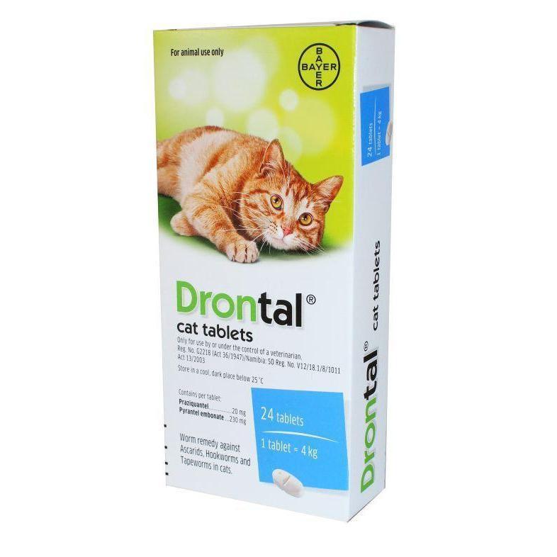 Drontal Cat Deworming Tablets - Pack of 4