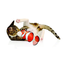 Load image into Gallery viewer, zaKatz - zaFish Touch Activated Interactive Flopping Clown Fish Cat Toy
